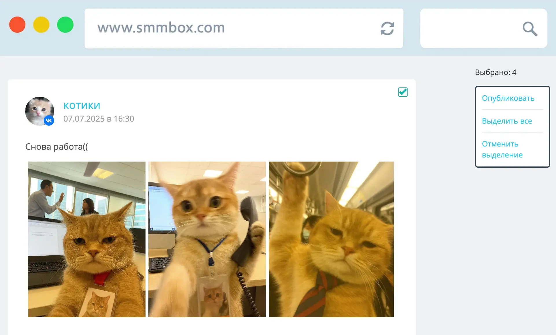 Возможность забрать несколько постов сразу в SmmBox